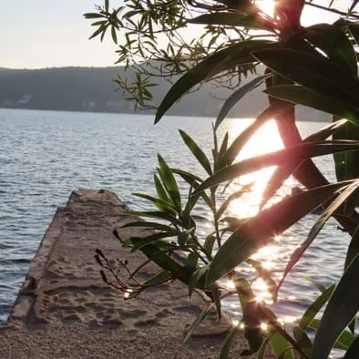 Pogled na more i oleandar u zalasku sunca